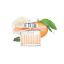 CHLOÉ | CHLOÉ ROSE TANGERINE – 75ML
